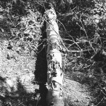Rollei-Superpan-200-in SPUR-UFP-3